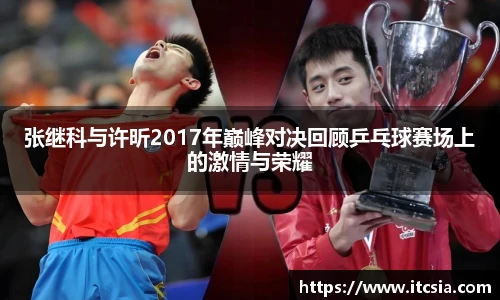 zoty中欧在线